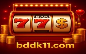 DK11